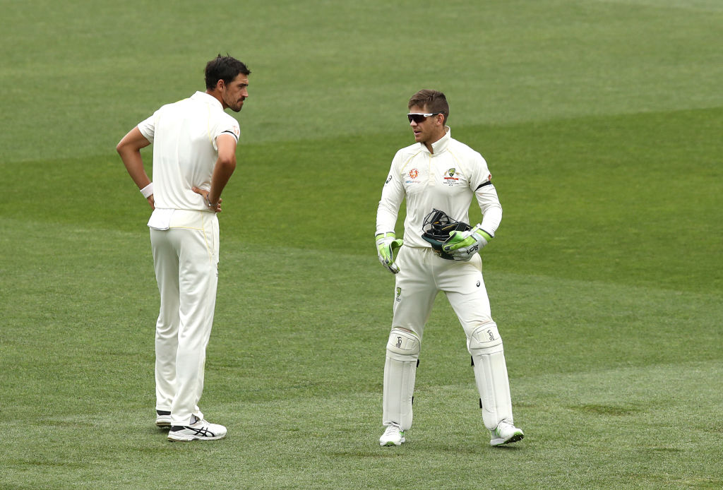 AUS vs NZ | Australia likely to go unchanged, admits Tim Paine